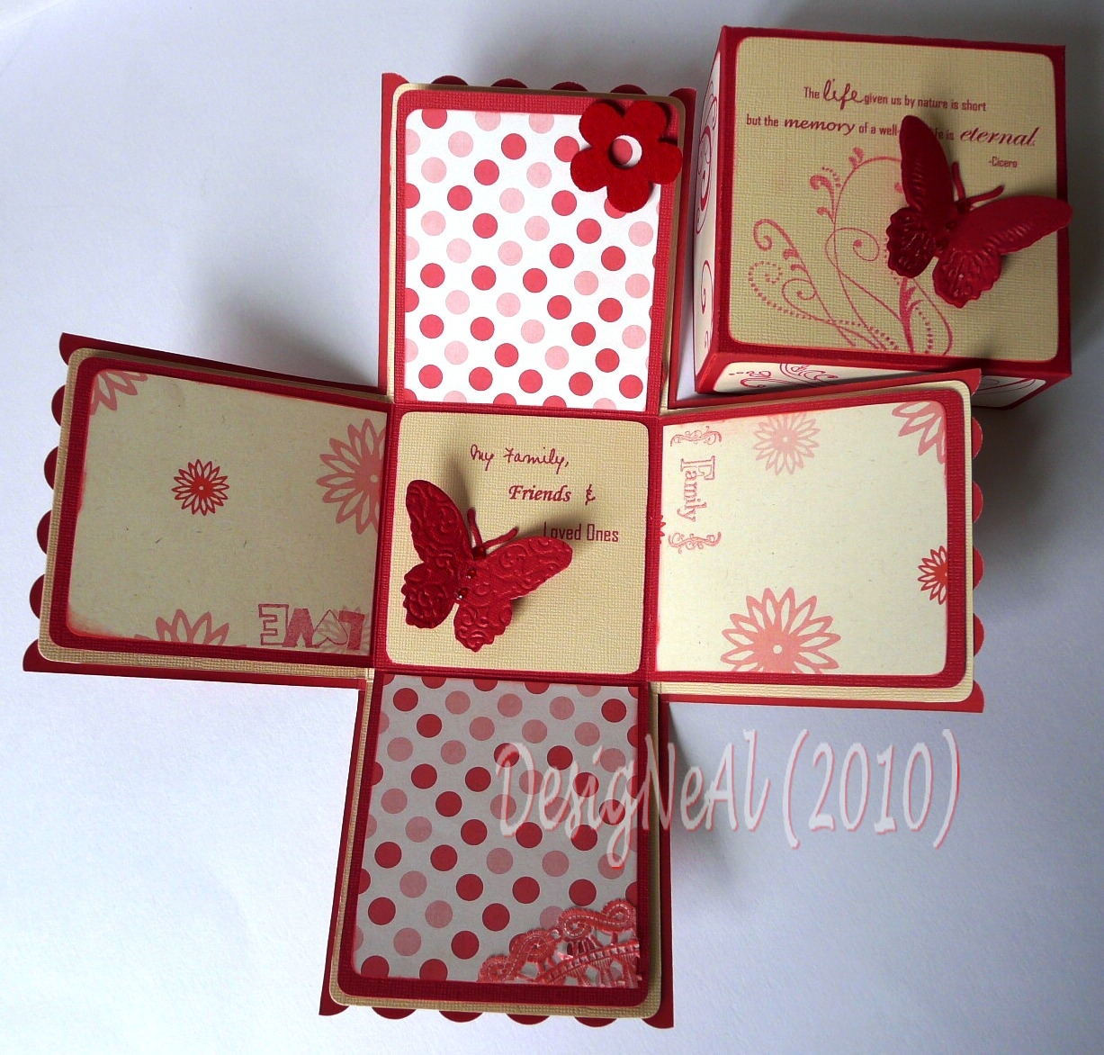 DesigNeAl Exploding Box