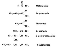 Química Orgánica: Amidas