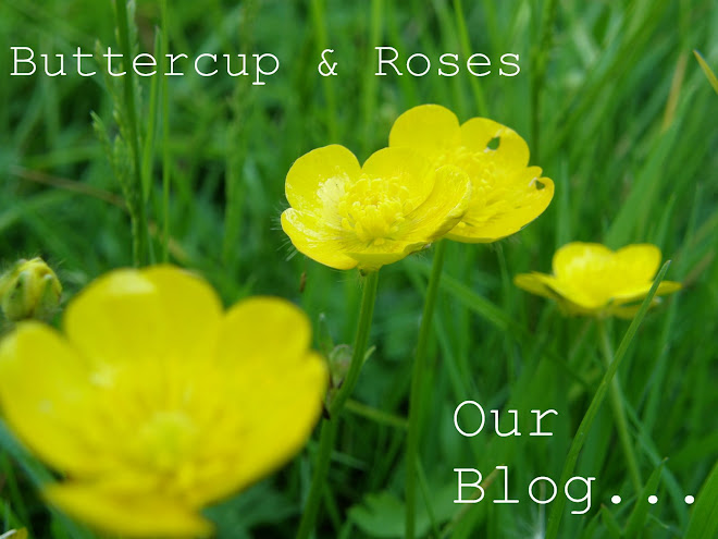 Buttercup & Roses