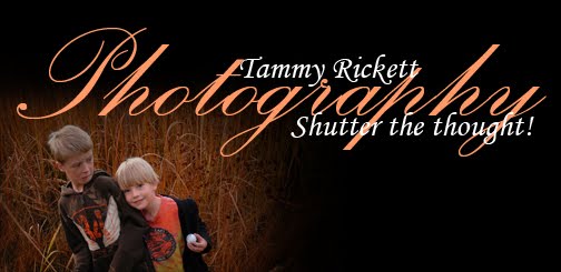 Tammy Rickett Photography