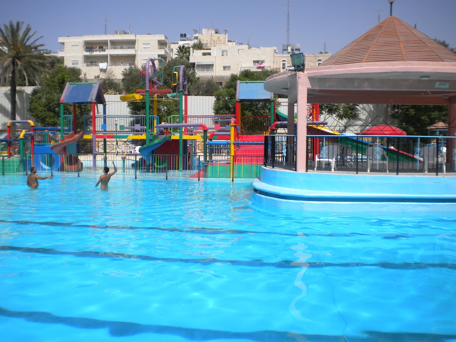 Alli in Palestine: A few normal days for me in Palestine