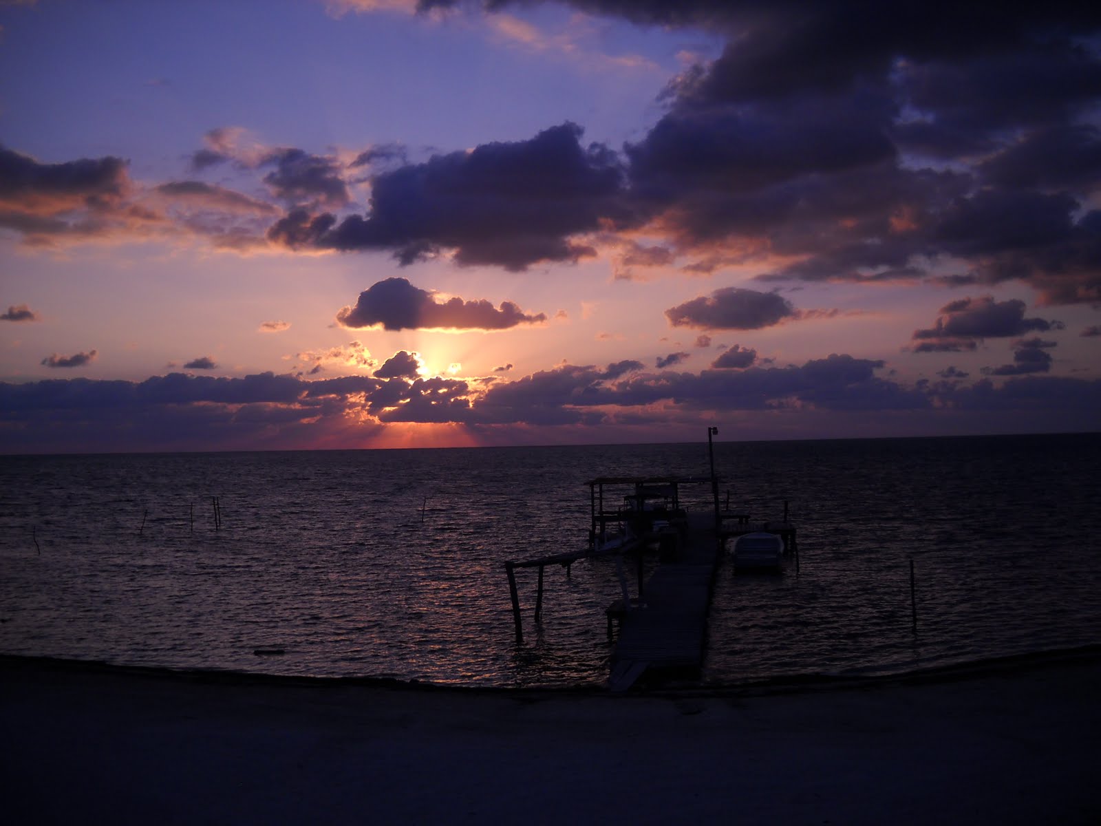 [DSCN0735.JPG]