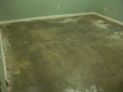 [condo+floors--day+2.jpg]