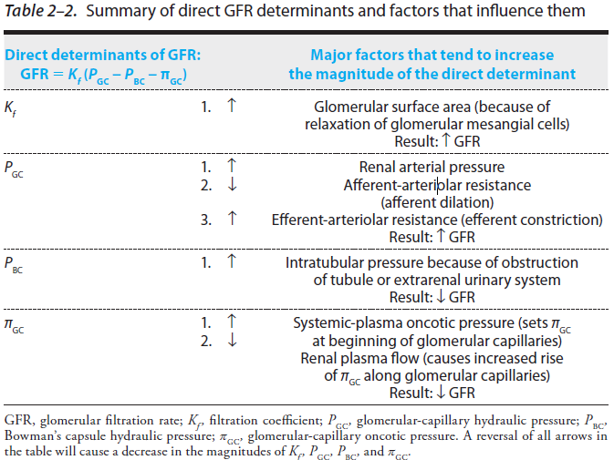 physiology Direct Determinants of GFR