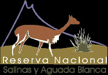 Reserva Nacional de Salinas y Aguada Blanca