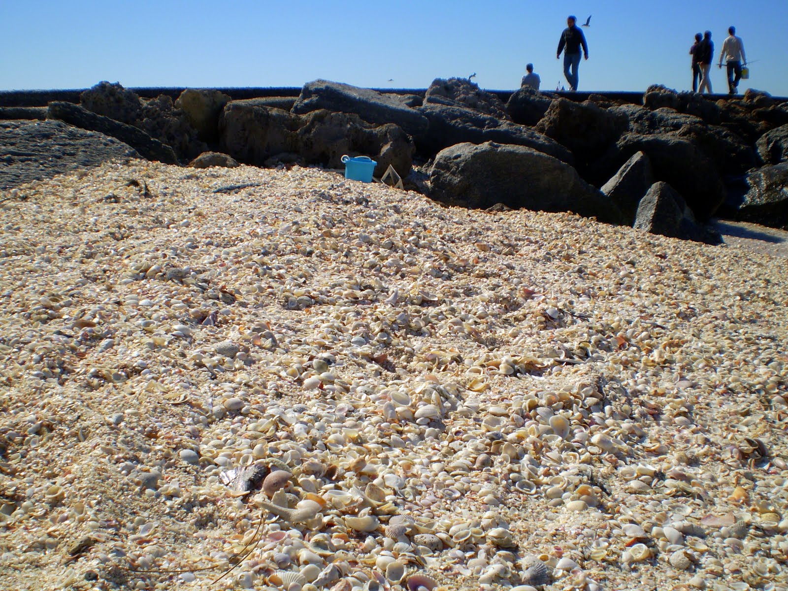 40 Miles North of Shell Mountain