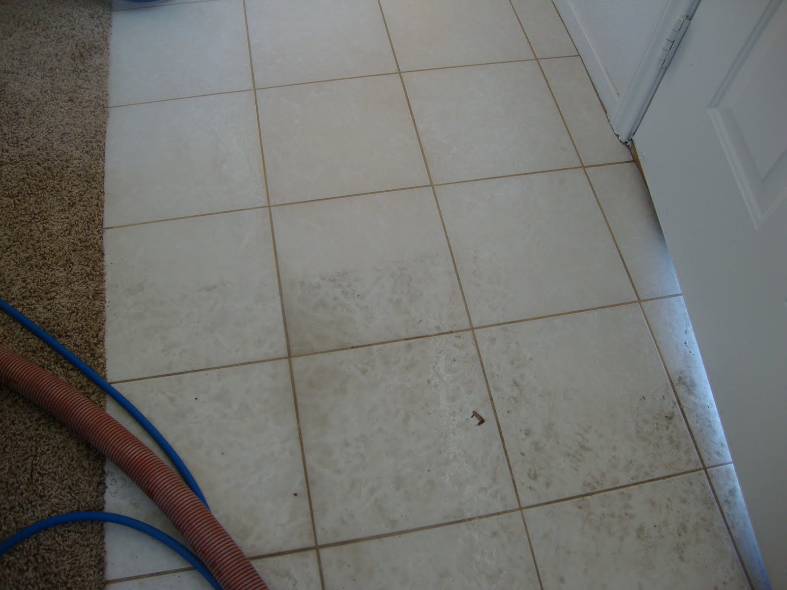 grout cleaning often tile sealing plus professional example perfect