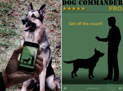[dog-commander-iphone.jpg]