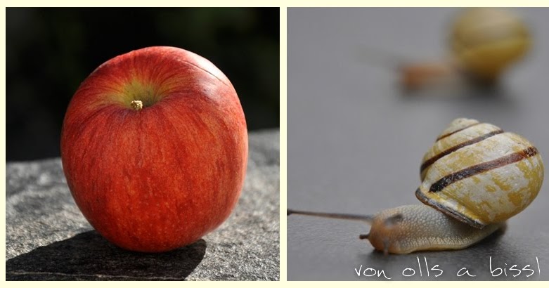 Apfel und Schnecken = Apfelschnecken