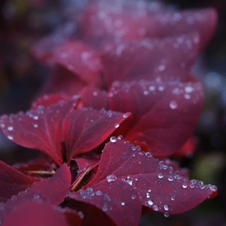 [DSC_0103.jpg]