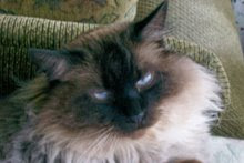 My new big bro Ben Fuzz!