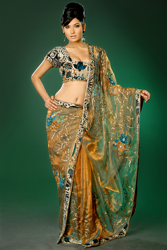Georgette and Glass Tissue Saree – Indian Saree Collection 2010 images ...