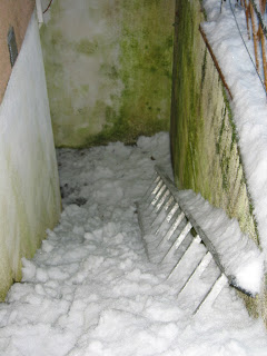 Wuehlmausland - Einfach anders leben: Dezember 2010