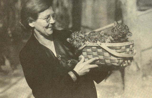 Buckles Blog Belle Benchley 5