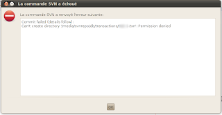 Netbeans SVN Can't create directory permission denied