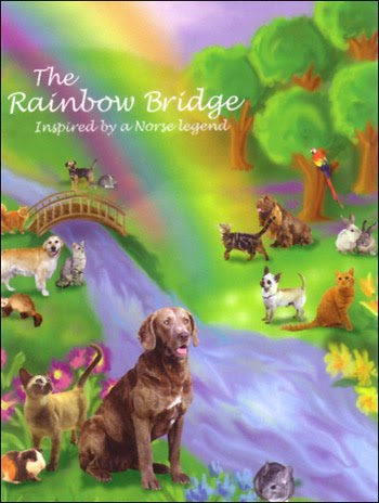 From the Den of the Dogman: The Problem with the Rainbow ...