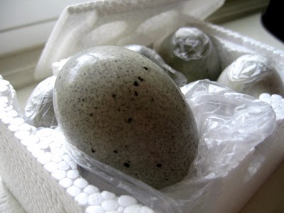 Pale Duck Egg Kitchen Paint Pale Duck Egg Kitchen Paint
