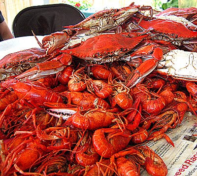 Passionate Eater: In Pictures: Seasons Greetings!