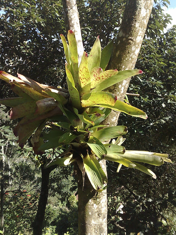 RECANTO DE MEMÓRIAS II