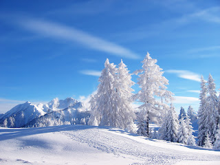 Oscar Dynamite: WINTER.