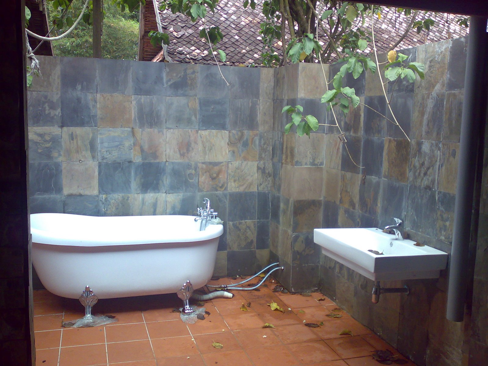 [20112007269.jpg]