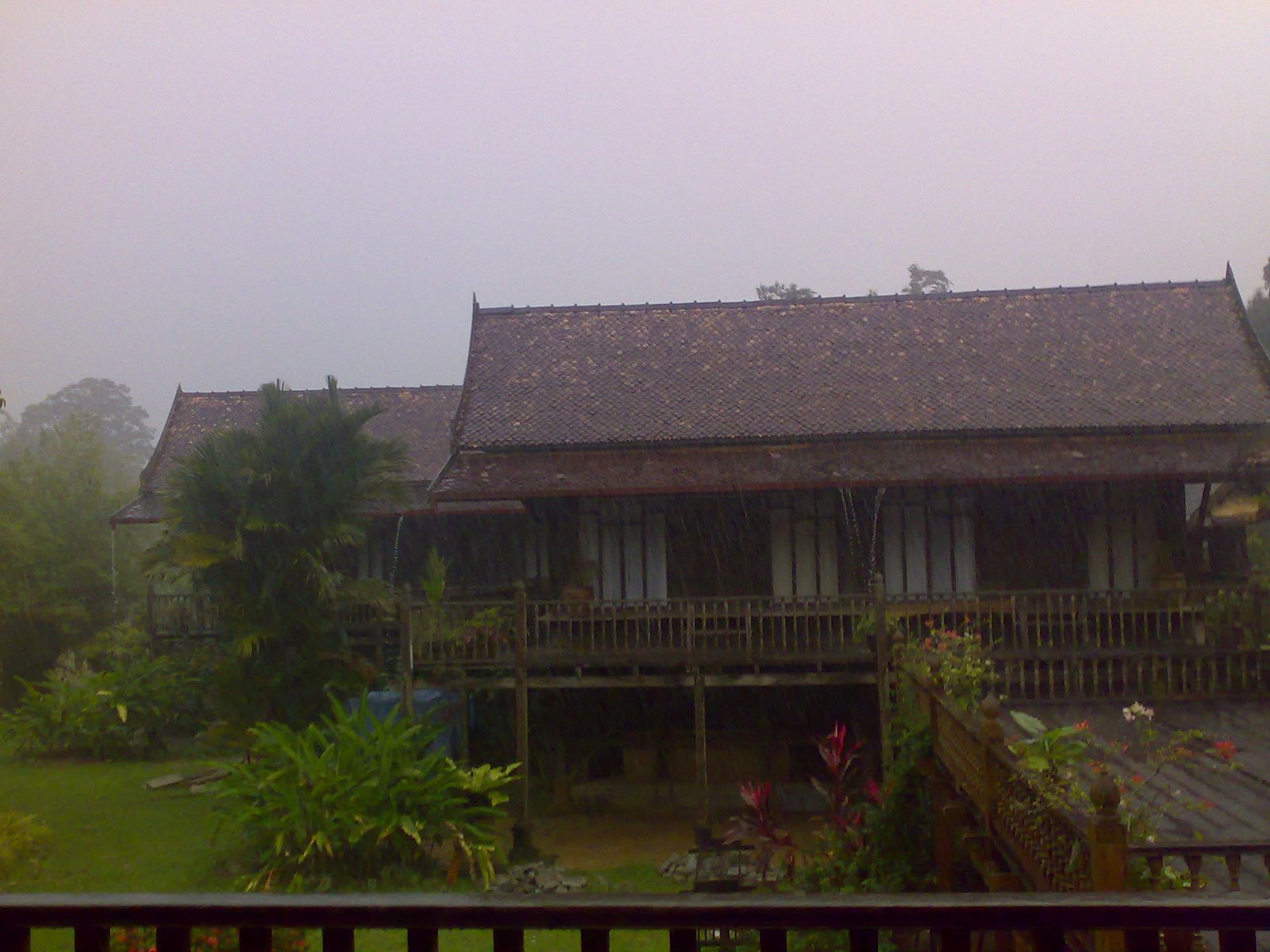 [20112007273.jpg]