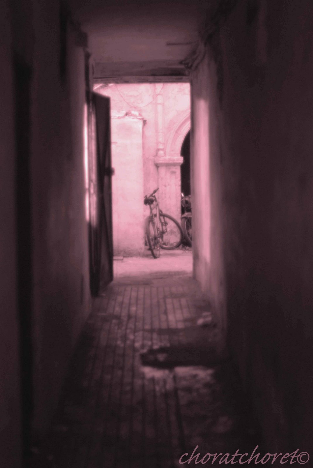 [DSC_0099.jpg]