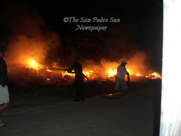 [Bush+Fire0000.JPG]