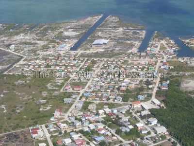 [Picture-197.jpg]
