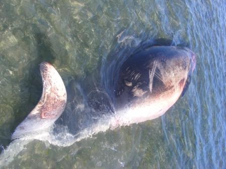 [Picture+001+-+sm.jpg]