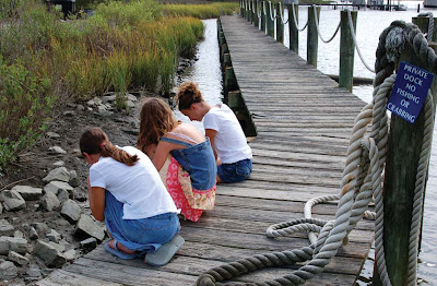 environmental living programs montessori stewardship cosmic education explained