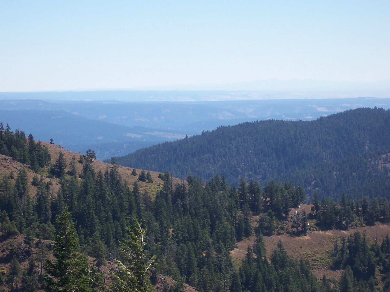 Walla Walla Valley Daily Photo September 2010