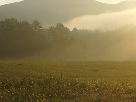 Early Morning in the Mnts