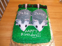 Birthday Cake for Twins Opossum