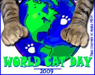 World Cat Day!!