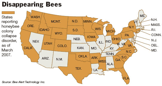 Colony Collapse Disorder Map