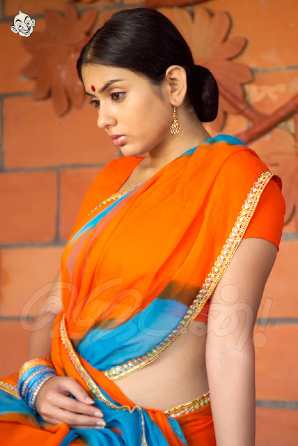 Hot South Indian Celebrity Namitha Photos