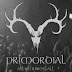 Primordial - All empires fall DVD