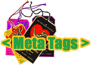 The Importance of Choosing the Right Meta Tags