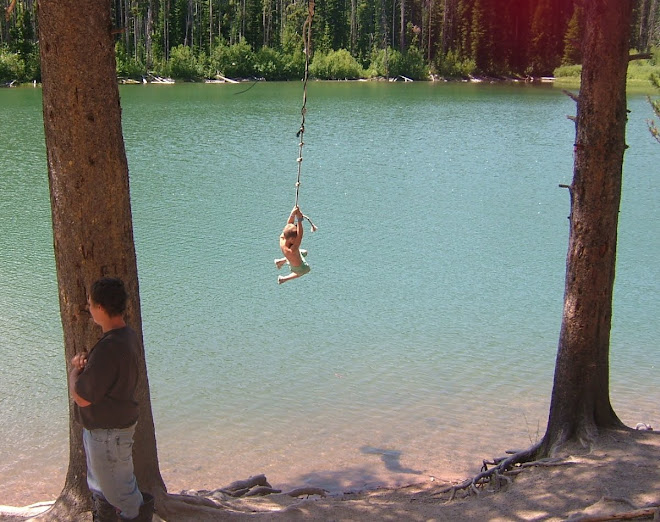 Pack Saddle Lake Rope Swing