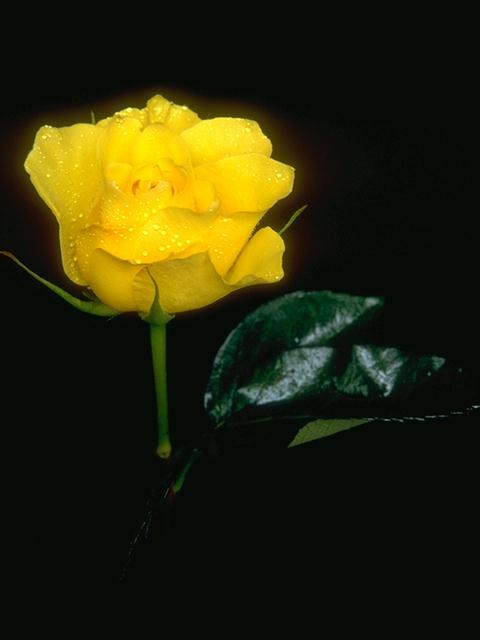 [D01C0011.JPG]
