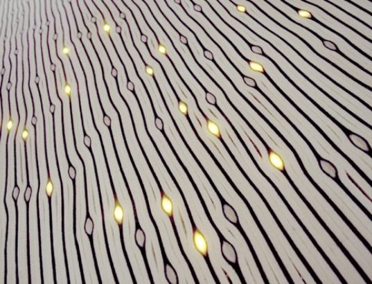 Lilium Designs: LED Eco Wool Carpet Lights the Way