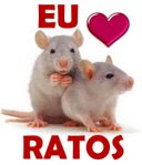 Comunidade Amor Verdadeiro Aos Ratos