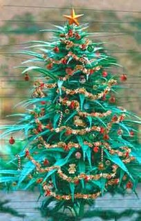 [WAMM+Christmas+Tree!.jpg]
