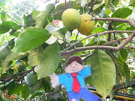 Lemon Tree