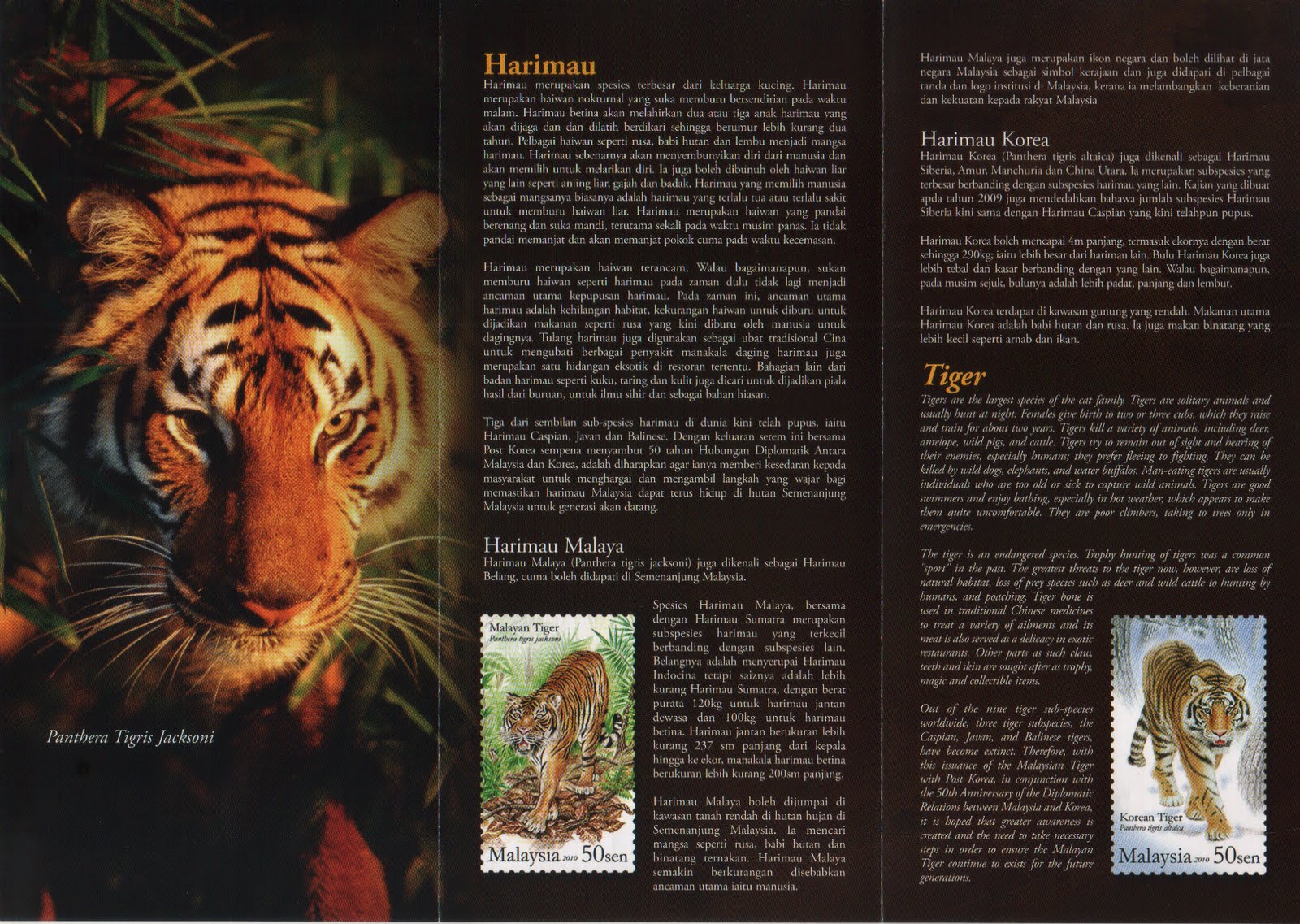 Save tiger information picture