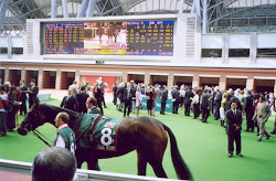 "Ouja Board",Lord Derby's filly at Sha-tin racecourse  on Sunday(11-12-2005)