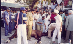 "Great Secret" heart attack at the Pune Racecourse in 1997.