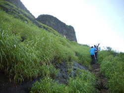 Trekking through elephant grass to "Shreevardhan Fort".(Sunday 19-9-2010).