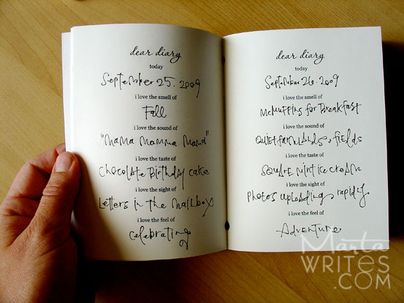 Marta Writes The Return Of The Mini Diary